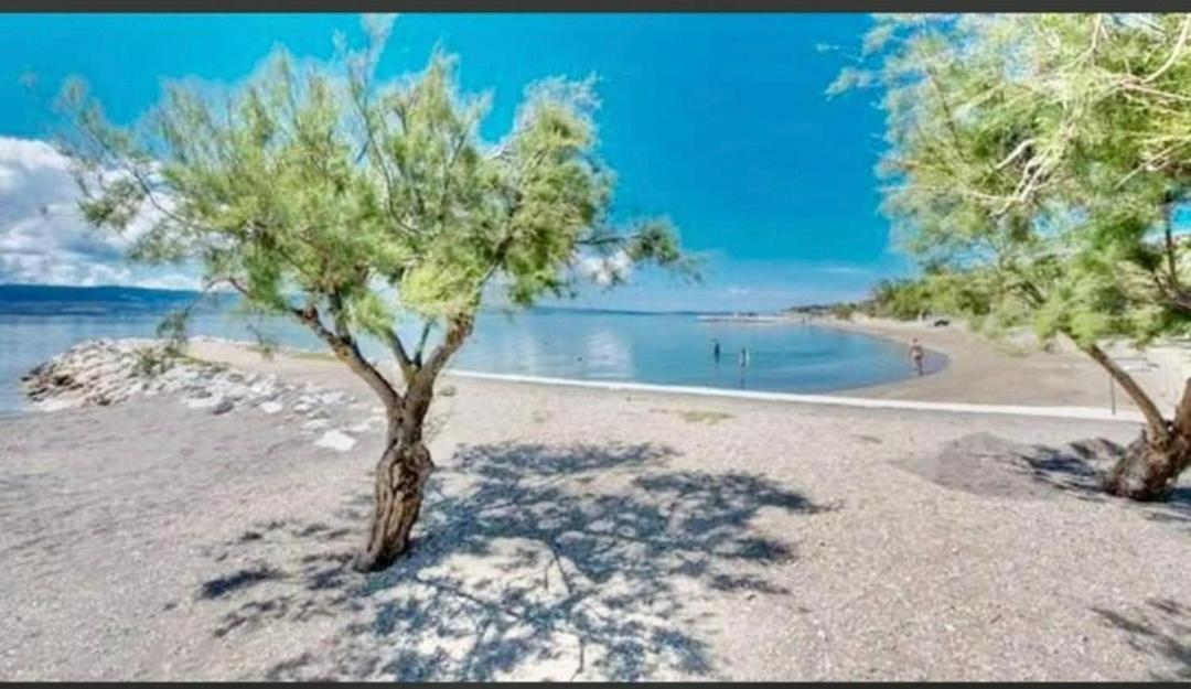 Apartmani Branko Vojnovic أوميس المظهر الخارجي الصورة